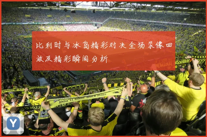 比利时与冰岛精彩对决全场录像回放及精彩瞬间分析